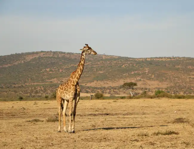 Dorob National Park